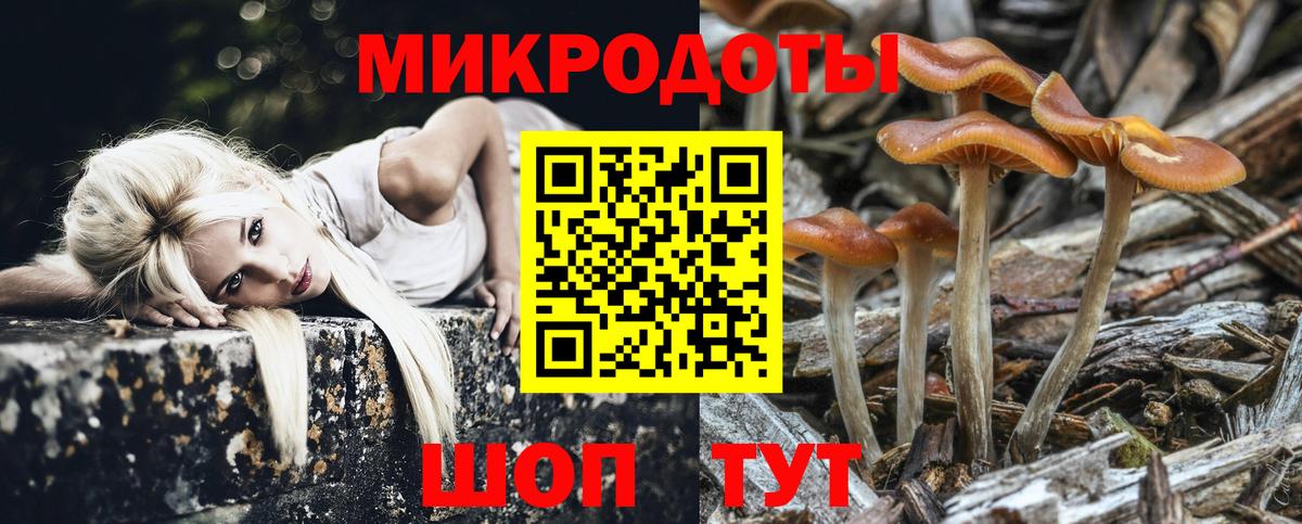 Псилоцибиновые грибы Psilocybe  Вход с VPN  Чайковский 