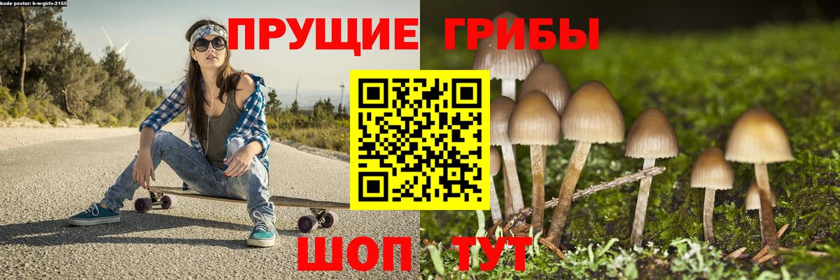 Псилоцибиновые грибы прущие грибы Чайковский
